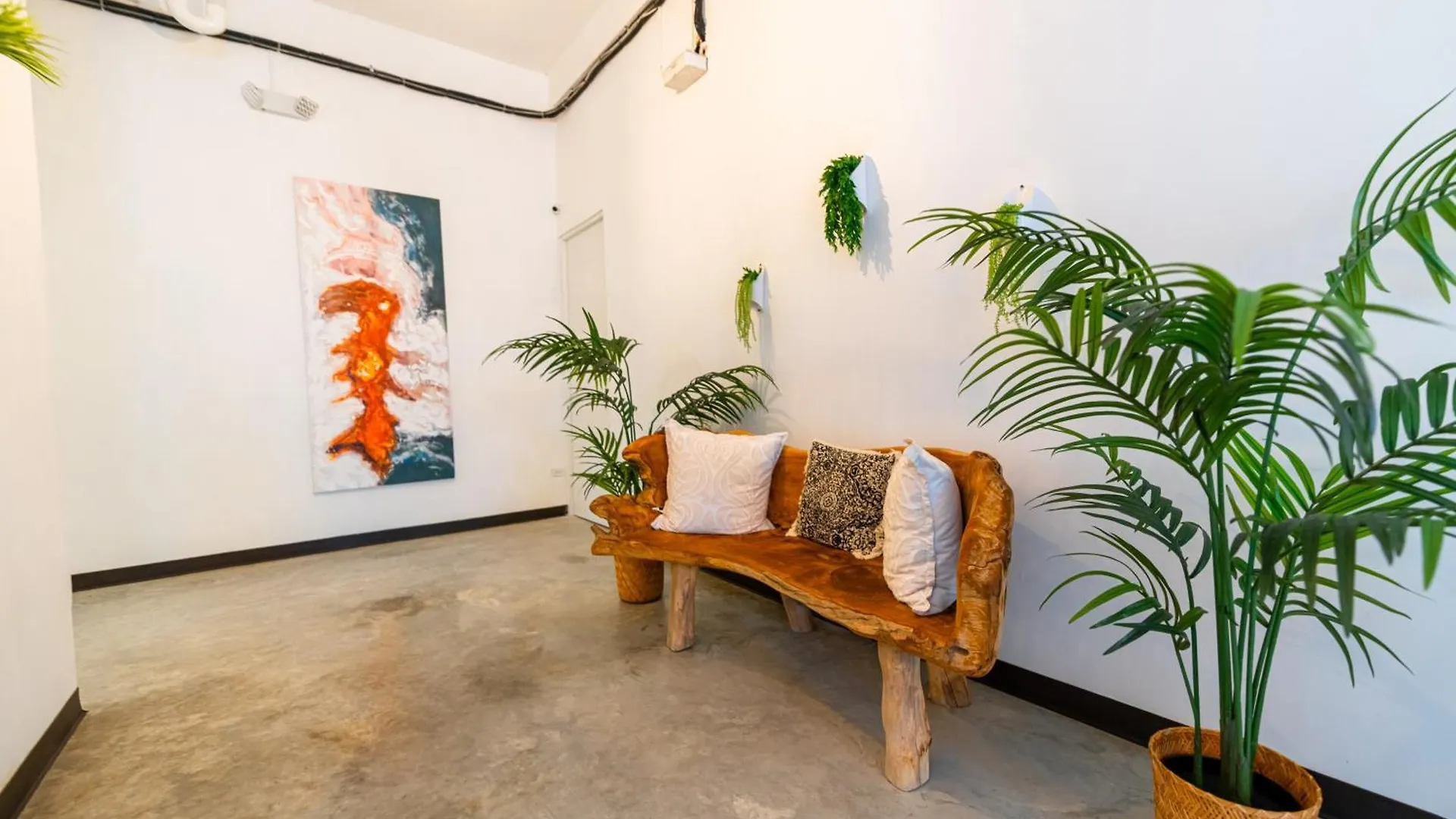Juliette Hostel Digital Nomad Women Only San Juan Puerto Rico