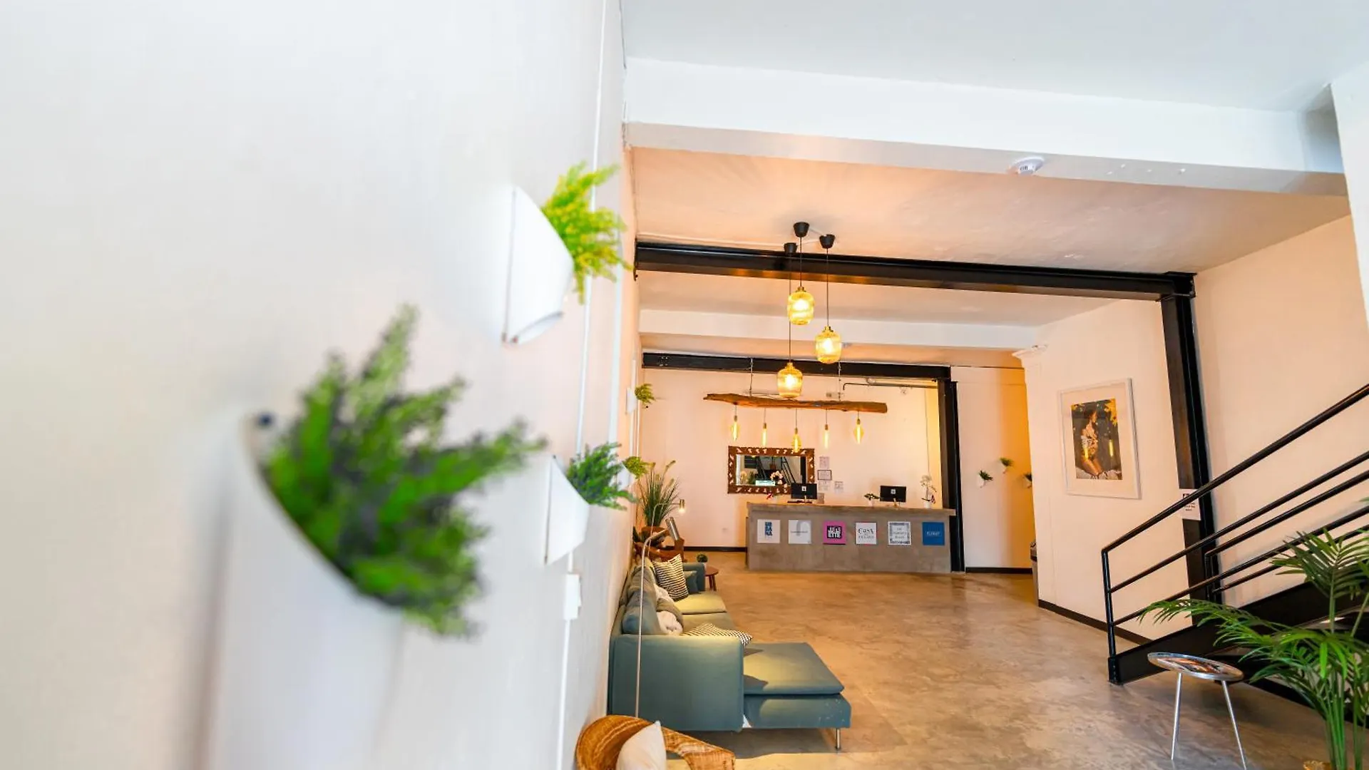 Juliette Hostel Digital Nomad Women Only San Juan Puerto Rico