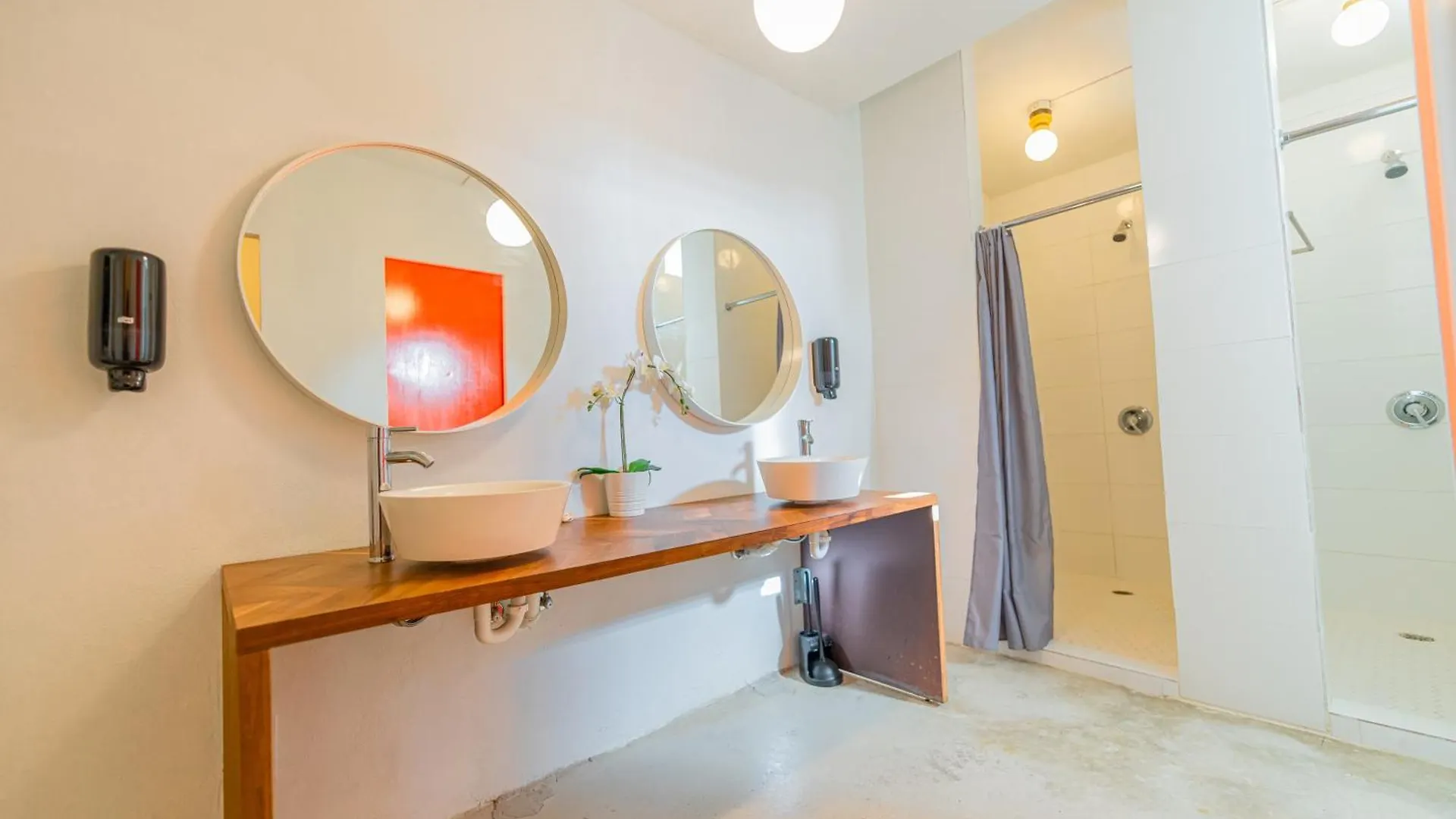 Juliette Hostel Digital Nomad Women Only San Juan